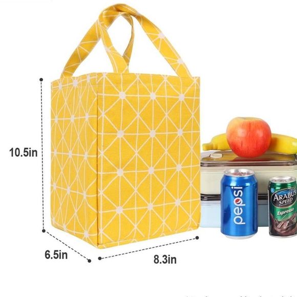 INSULATED lunch bag- new - Picture 1 of 6